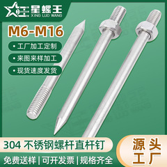 304ステンレス鋼尖頭ボルトPVCパイプクランプ201延長壁釘ネジナット組み合わせクランプ釘