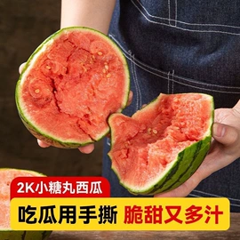 苹果;芒果;瓜果类