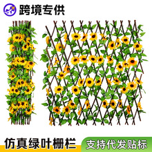 �羳���N����ř����ϾG�~�ٻ���ľ�����b�ͥԺľ�^pvc��s�h��