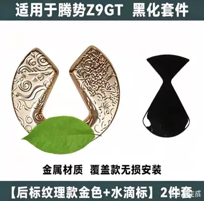 with auspicious cloud pattern design, Car logo - suitable-for-denza-z9gt-gold-textured-model-rear-emblem-water-drop-emblem-2-piece-set