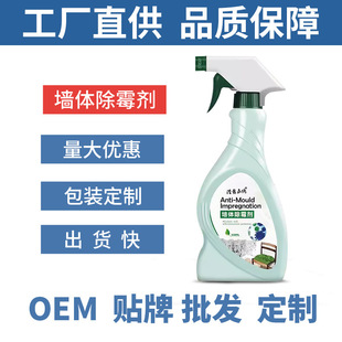 Wholesale household White Wall mold remover powerful Wall mold removal mold removal gel mold removal spray