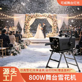 小型舞台800w雪花机户外人工仿真智能遥控造雪机商业圣诞喷雪机