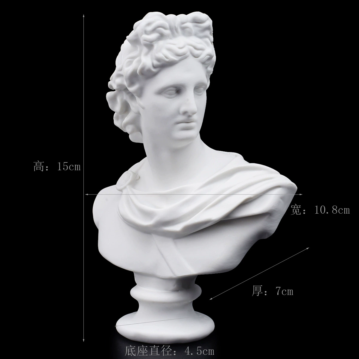 Gypsum avatar art sketch teaching aid sketching practice home decoration art carving window decoration