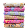 Cross -border hot selling pet blankets Four seasons common blankets, warm sleep cushion coral velvet claws, cats and dog mats wholesale