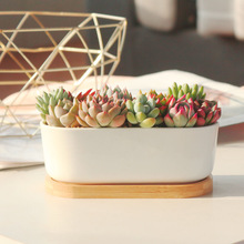 ƽ���L���A߅�մɶ��⻨�躆�s��ɫ�п�͸�����⻨���̖�¿����