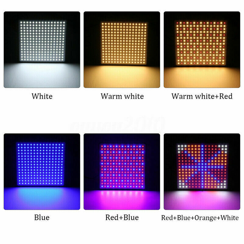 Luz de cultivo para plantas de 1000W, tipo colgante, panel cuántico delgado, luz LED para cultivo de vegetales, frutas y plántulas en invernadero.