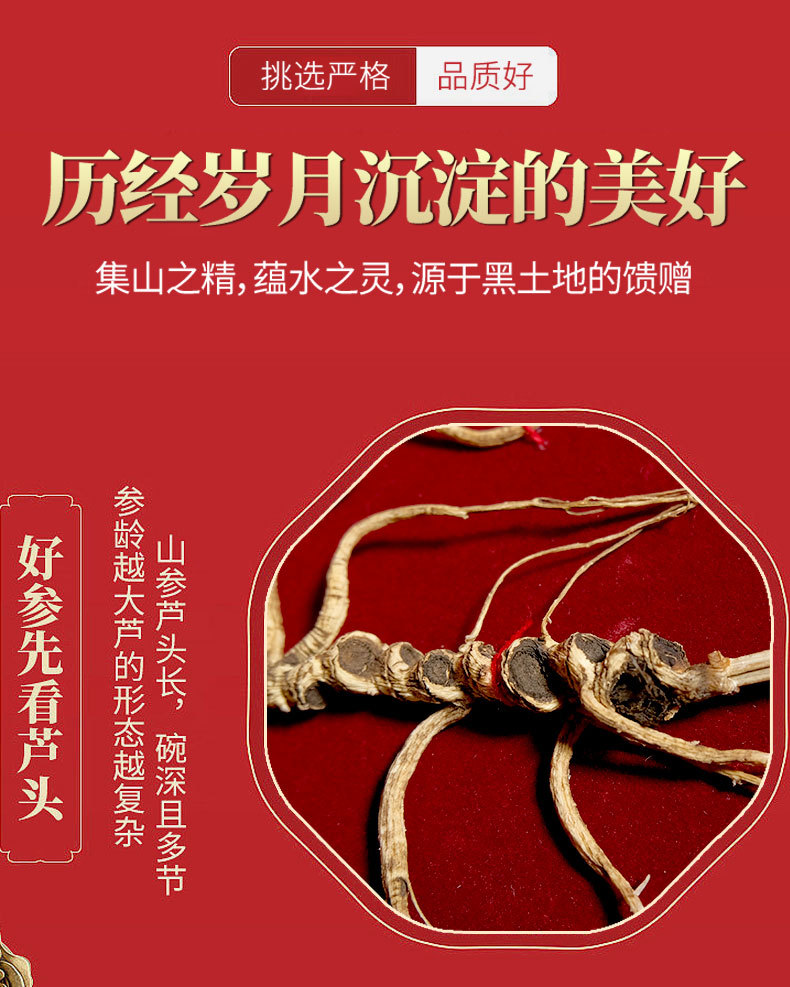 Wild Mountain Ginseng Gift Box Dried Root Slices 15 Years and Above for Soup and Decoction quality and texture