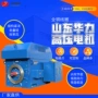ykk华力山东高效电动机