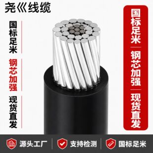 JKLGYJ �о�X�g���ܿս^����| 10kV/1kV ���ˏS��ֱ�� ֧�ֶ���
