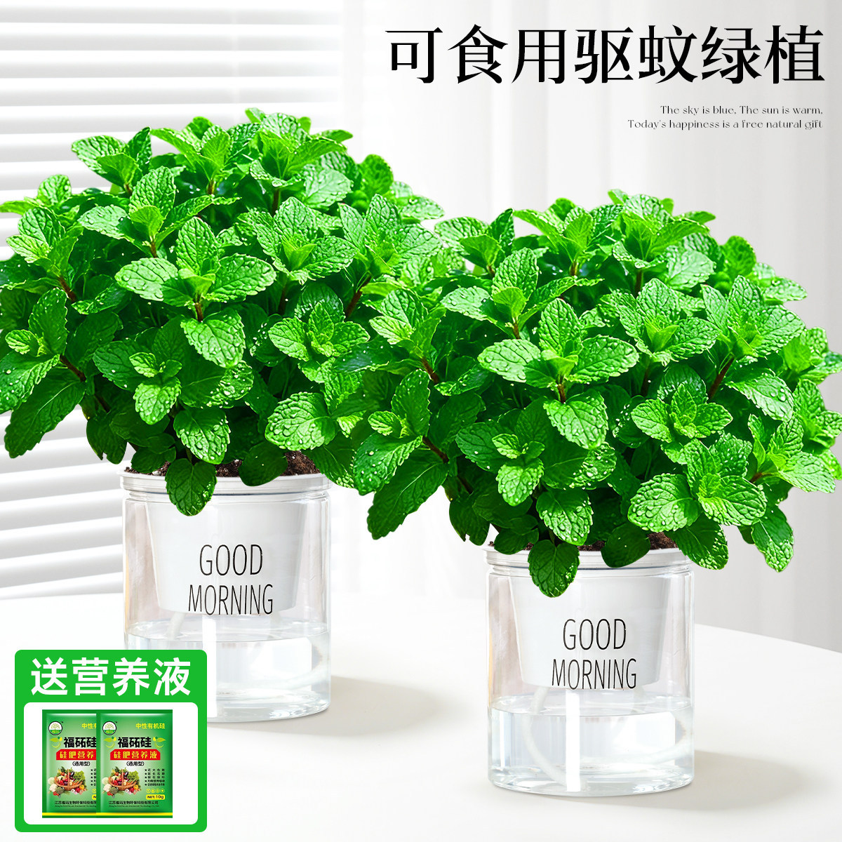 With simple planting pot