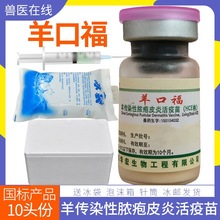 ɽ��d��گ��������Ⱦ��ē��Ƥ�׻�����HCE��10�^��/ƿ�Fș