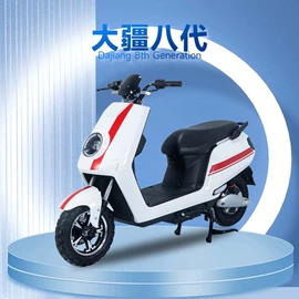 其他电动车;其他摩托车;电动摩托车
