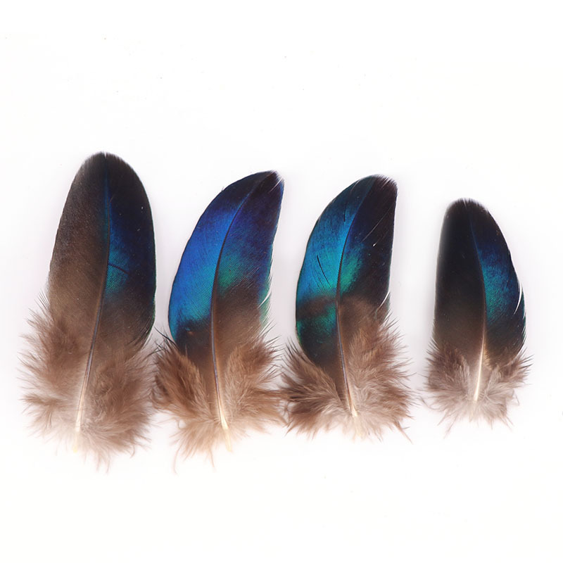 4459d54bb5433dab8d408c1c28928b