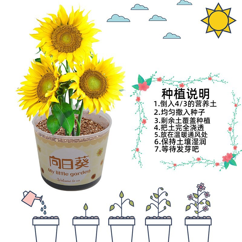 科学実験セット機器子供教育技術少量生産物理学発明DIY手作り材料小学生向け|undefined