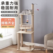 ��ľ؈����̫��œ����؈�C������}؈��؈ץ����؈��̨һ�wС��