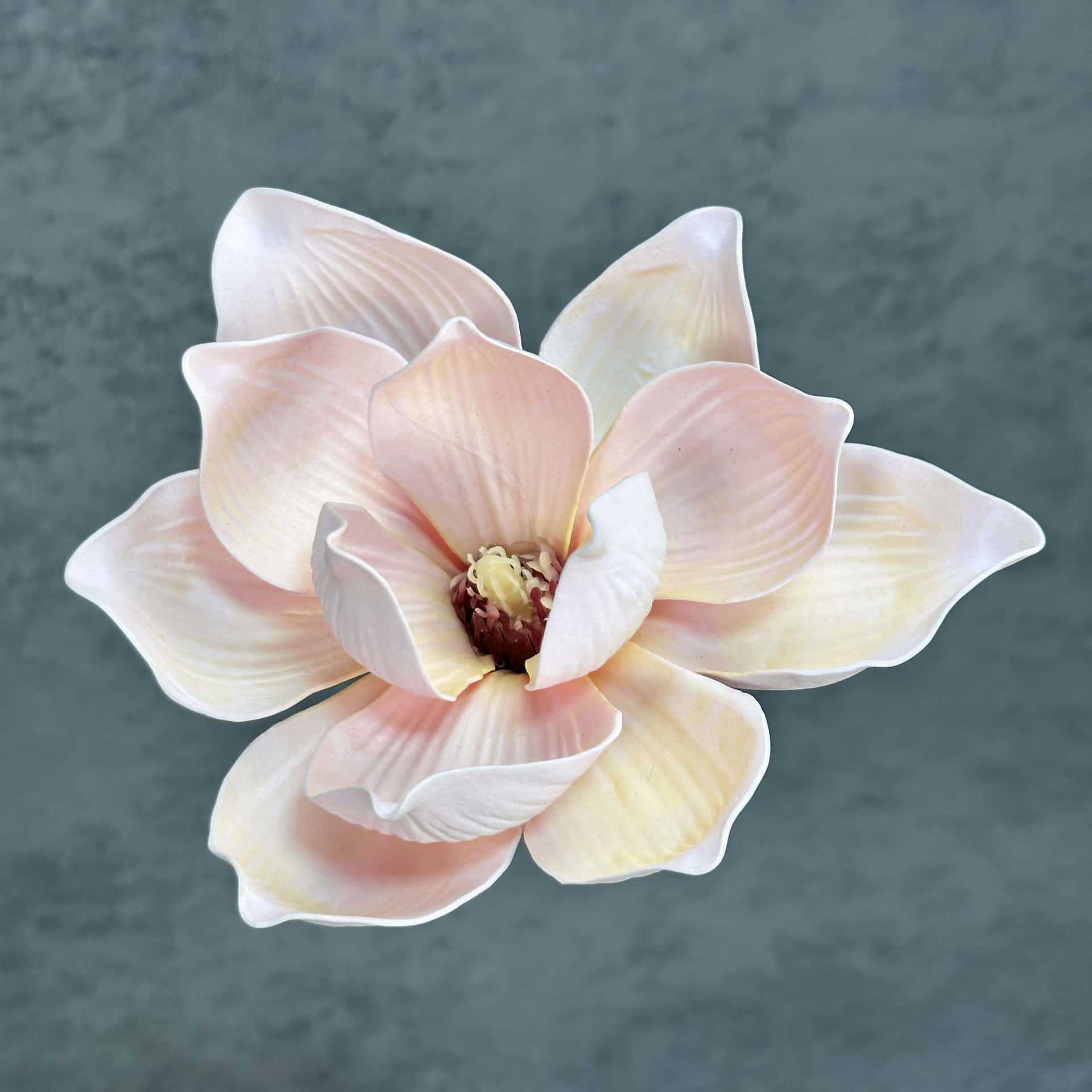 Flor de simulación transfronteriza EVA cabeza de magnolia 13cm tacto tocado kapok decoración decoración decoración flor falsa al por mayor