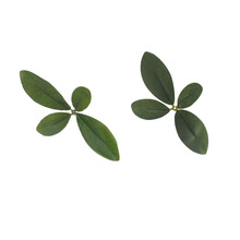 ����ˮ��ʯ���~�Gֲ�����~Ƭ�͏d�辰�bٻ��[���S�����lʯ���~