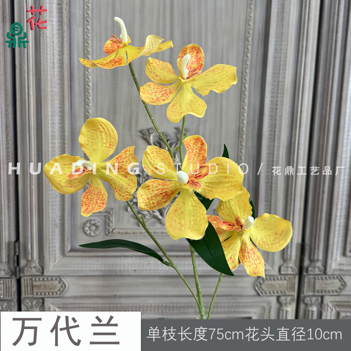 Vanda NING Vàng