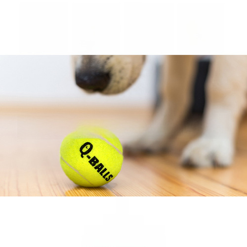Q-monster dog sports tennis set four-color sound bouncy ball basketball football dog toy