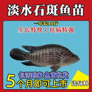 ��ˮʯ���~����w��ˮ�Bֳʳ�����B���^�p�~�����~�����~·���~��