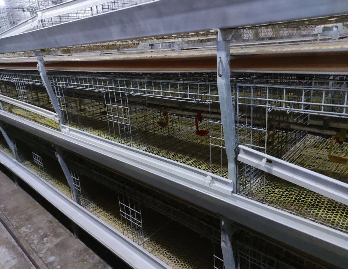 6efa692da2a2e210e3385cdac0062a