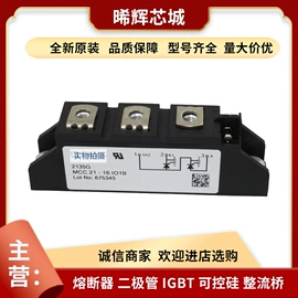 普通晶闸管;IGBT模块;其他二极管