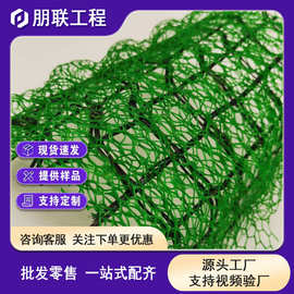 三维土工网垫 EM2植草网 EM3EM3加筋三维植被网 护坡三维土工网垫