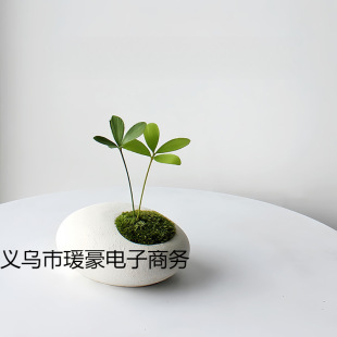 ���� ����ֲ���҃Ȼ� �_�h�� ���_ľ ���\ �k���ҾGֲ