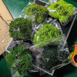 仿真丝状苔藓白发藓仿真羊毛藓景观布置草坪盆景盆栽仿真绿植造景