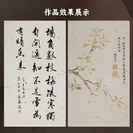 花草麻纸复古纤维书法国画四尺十六开九开半生熟信笺云龙小楷练字