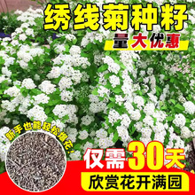 �����ջ��N���ļ��Nֲ�_���׻����Ի����S����Ȫ�̨ͥԺ���ܷN��