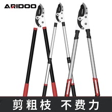 �¹�ǿ����֦�����ռ���֦԰�ּ�����֦ʡ����֦��������֦����