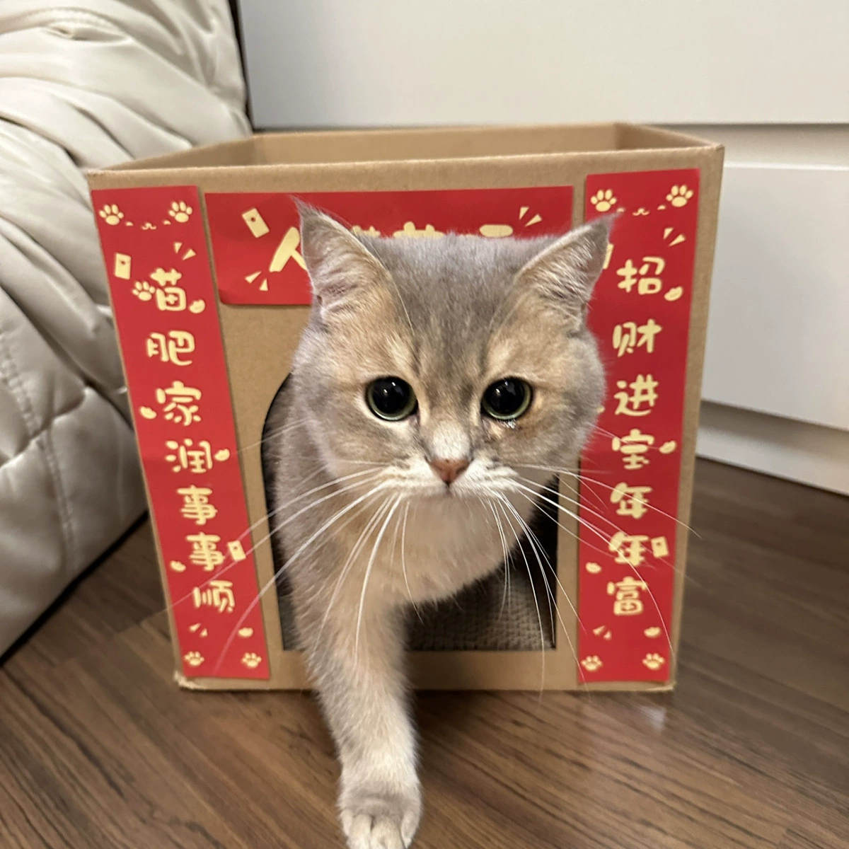Универсальная игрушка-обогреватель на все сезоны, кот