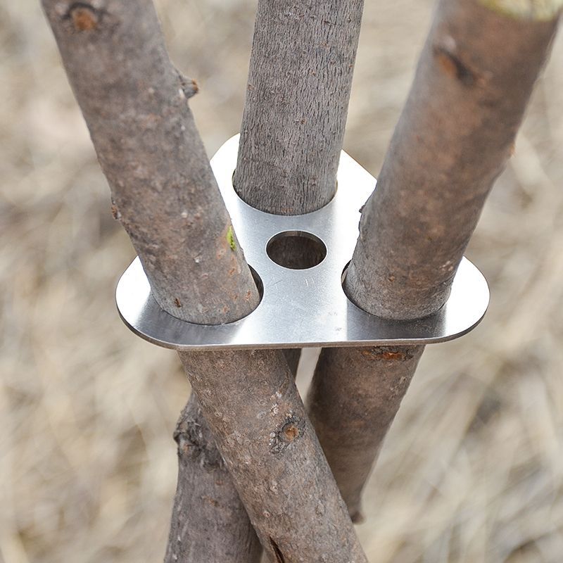 Tripod