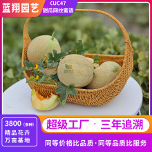 �W�yϵ�оW�y���Z���ܹϷN�� �߮a�����W�y����ܛŴ��֭ ���߷Nֲ