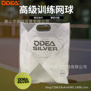 Tennis beginners training ball durable dd2/SILVER advanced stage training tennis