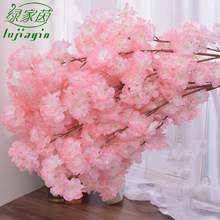 ѻ֦cƷbT͏dbٻѻ