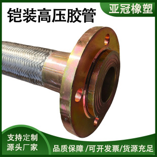 Armored High-Pressure Hose Clamp Stone Cotton High-Pressure Armored Oil Pipe Outer Braided 304 Stainless Steel Mesh Kai-Installed Oil Pipe High Temperature Resistance