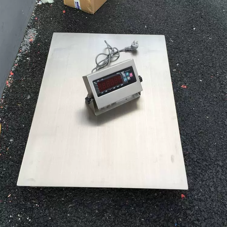 600MMX800mm300kg Антикоррозионные платформенные весы для пищевой фабрики 800mmx800mm Напольные весы из нержавеющей стали 500kg