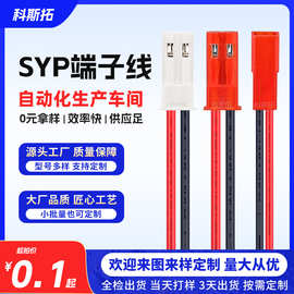 SYP端子线2P空中对插线橱柜LED灯条灯带JST杜邦加工线束连接器