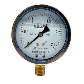 YZ上海银普YN100耐震压力表油压表0-1.6/2.5/40Mpa液压水压抗震径