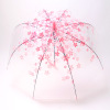 Umbrella transparent umbrella cherry blossoms long -handle umbrella transparent umbrella umbrella super beautiful literary and fresh long -handle umbrella multi -color