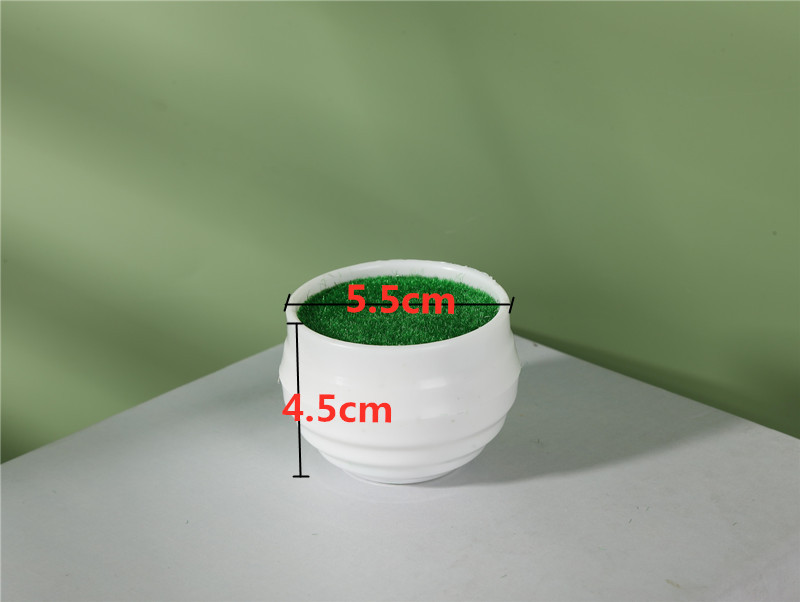 746A3379_好压看图_副本