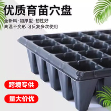 跨境专供东南亚欧美加厚多肉芽苗菜培育穴盘种植育苗盒营养钵扦插