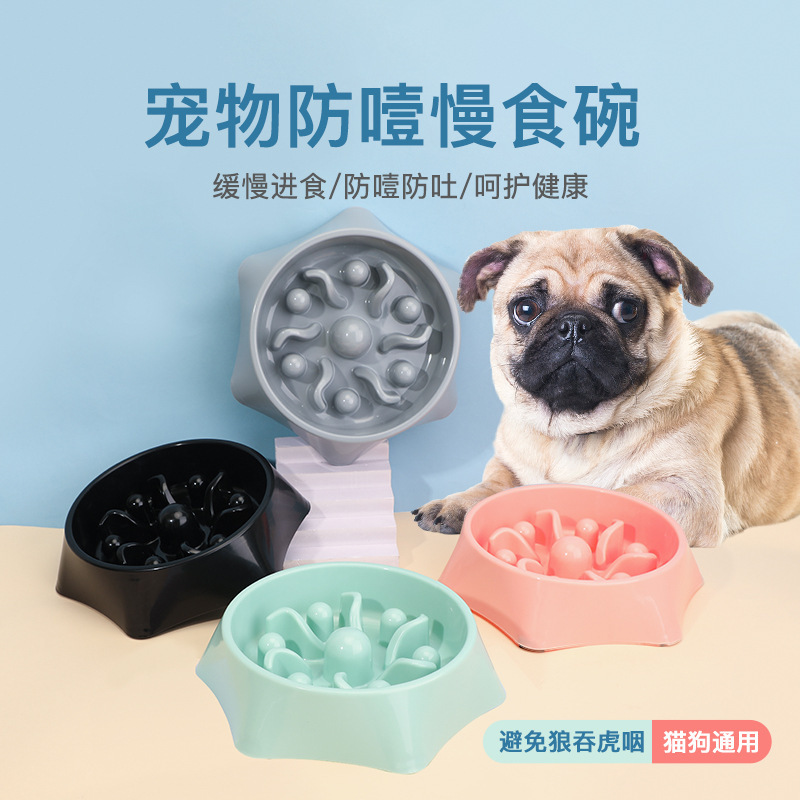 ペットの遅い食事の碗は首を保護します。|undefined