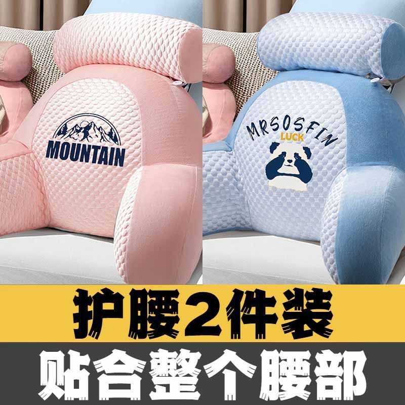 317 핑크 + 321 블루
