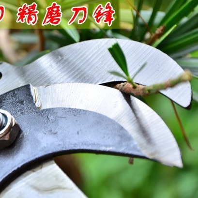 Tijeras de rama alta con cuerda recogedor de frutas tijeras de gran altitud tijeras de rama de cabeza poda de gran altura jardín lote de ahorro de mano de obra