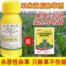 36玉米地苗后专用除草剂硝磺莠去津护苗型不伤玉米苗通用除草剂