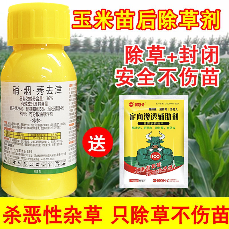 36玉米地苗后专用除草剂硝磺莠去津护苗型不伤玉米苗通用除草剂