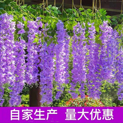 模擬藤の花、バイオレットラタン、ホテルの結婚式の天井、模擬花、屋内プラスチック装飾植物